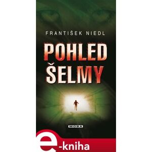 Pohled šelmy - František Niedl e-kniha