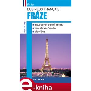 Business français - Fráze. ustálené slovní obraty, tématické členění, slovíčka e-kniha