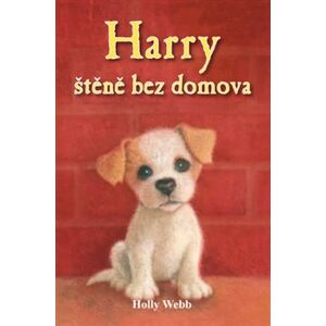 Harry, štěně bez domova - Holly Webb