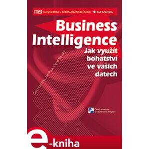 Business Intelligence. Jak využít bohatství ve vašich datech - David Slánský, Jan Pour, Ota Novotný e-kniha