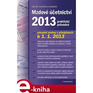 Mzdové účetnictví 2013. praktický průvodce - Václav Vybíhal e-kniha