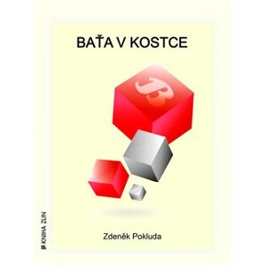 Baťa v kostce - Zdeněk Pokluda