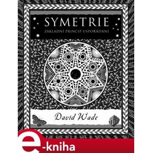 Symetrie. Základní princip uspořádání - David Wade e-kniha
