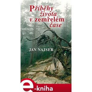 Příběhy života v zemřelém čase - Jan Najser e-kniha