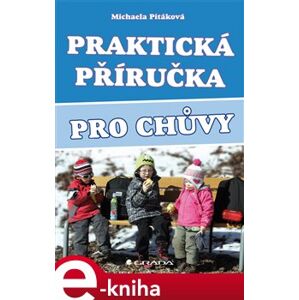 Praktická příručka pro chůvy - Michaela Pitáková e-kniha