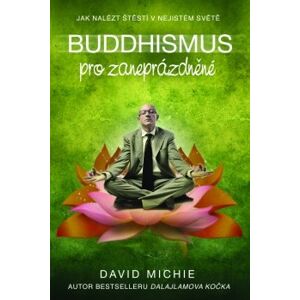 Buddhismus pro zaneprázdněné. Jak nalézt štěstí v nejistém světě - David Michie