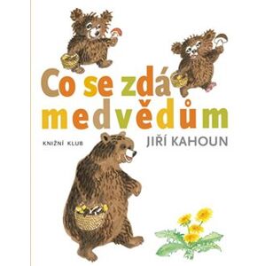 Co se zdá medvědům - Jiří Kahoun