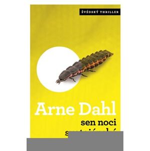 Sen noci svatojánské - Arne Dahl