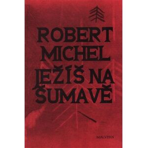 Ježíš na Šumavě - Robert Michel
