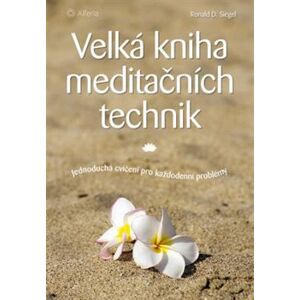 Velká kniha meditačních technik. Jednoduchá cvičení pro každodenní problémy - Ronald D. Siegel