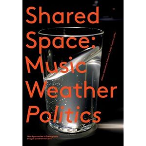 SharedSpace: Music, Weather, Politics