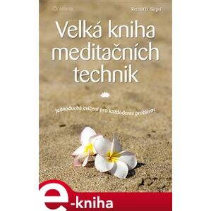 Velká kniha meditačních technik. Jednoduchá cvičení pro každodenní problémy - Ronald D. Siegel e-kniha
