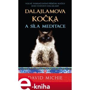 Dalajlamova kočka a síla meditace - David Michie e-kniha