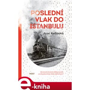 Poslední vlak do Istanbulu - Ayşe Kulinová e-kniha