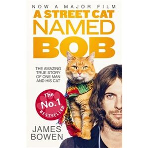 A Street Cat Named Bob - James Bowen
