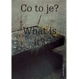 Co to je? / What is it. Designblok Book 2016