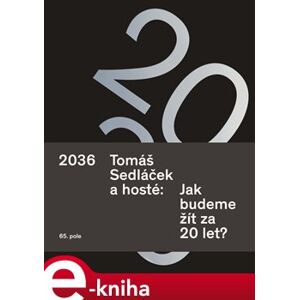 2036 Tomáš Sedláček a hosté: Jak budeme žít za 20 let? - Tomáš Sedláček e-kniha