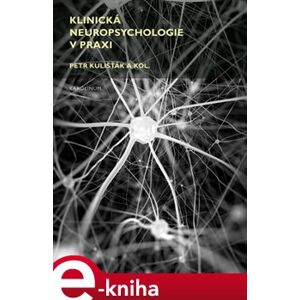 Klinická neuropsychologie v praxi - Petr Kulišťák e-kniha