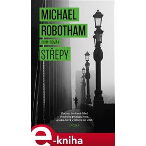 Střepy - Michael Robotham e-kniha