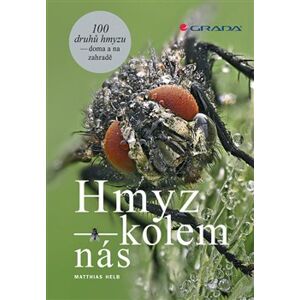 Hmyz kolem nás. na zahradě a v domě - Matthias Helb