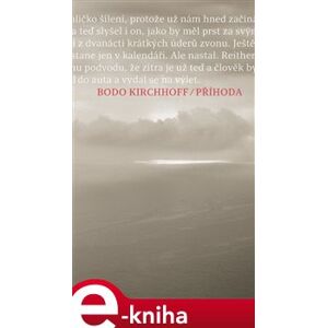 Příhoda - Bodo Kirchhoff e-kniha