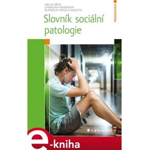 Slovník sociální patologie - kolektiv, Blahoslav Kraus, Stanislava Hoferková, Václav Bělík e-kniha