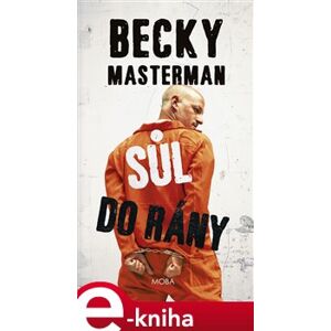 Sůl do rány - Becky Masterman e-kniha