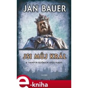 Jsi můj král - Jan Bauer e-kniha