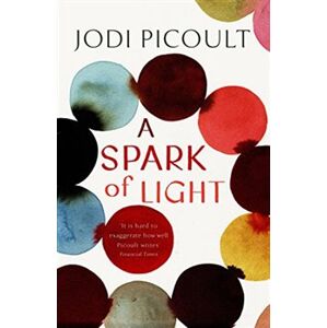 A Spark of Ligh - Jodi Picoultová