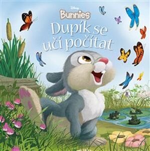 Disney Bunnies - Dupík se učí počítat - kolektiv