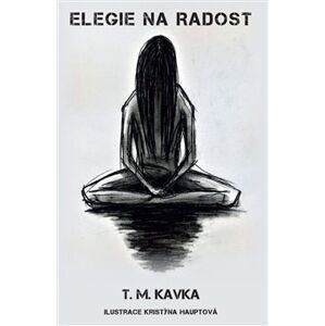 Elegie na radost - Tomáš Kavka