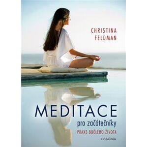 Meditace pro začátečníky. Praxe bdělého života - Christina Feldman