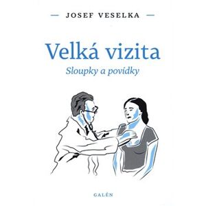 Velká vizita - Josef Veselka