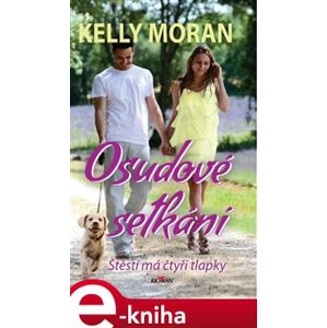 Osudové setkání - Kelly Moran e-kniha