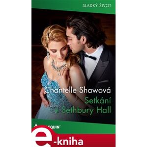 Setkání v Sethbury Hall - Chantelle Shawová