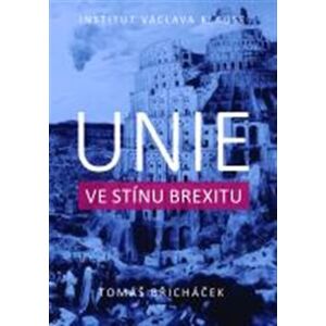 Unie ve stínu brexitu - Tomáš Břicháček