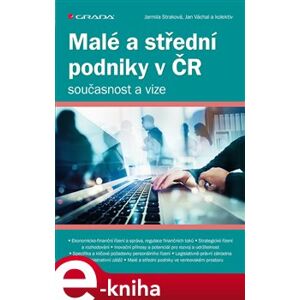 Malé a střední podniky v ČR – současnost a vize - Jarmila Straková e-kniha
