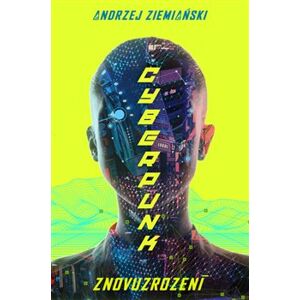 Cyberpunk - Andrzej Ziemiański