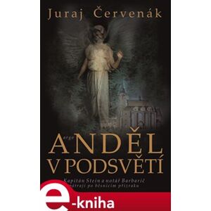 Anděl v podsvětí - Juraj Červenák e-kniha