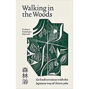 Walking in the Woods - Yoshifumi Miyazaki