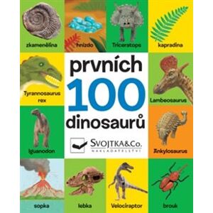 Prvních 100 dinosaurů - Vladimír Mátl