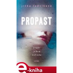 Propast - Jitka Ludvíková e-kniha