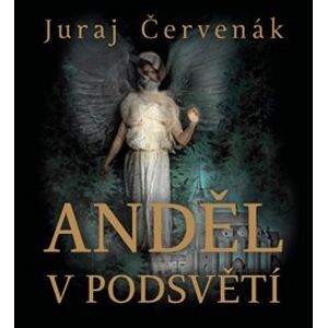 Anděl v podsvětí - Červenák Juraj, Vázaná