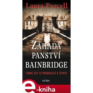 Záhada panství Bainbridge - Laura Purcell e-kniha