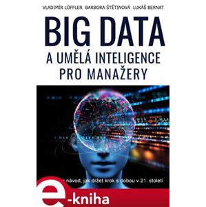 Big data a umělá inteligence pro manažery. Praktický návod, jak držet krok s dobou v 21. století - Vladimír Löffler, Barbora Štětinová, Lukáš Bernat
