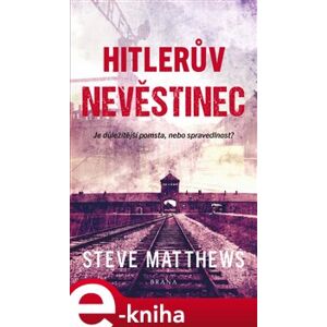 Hitlerův nevěstinec - Steve Matthews e-kniha