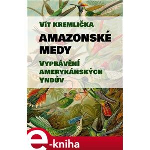 Amazonské Medy. Vyprávění amerykánských Yndův - Vít Kremlička e-kniha