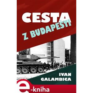 Cesta z Budapešti - Ivan Galambica e-kniha