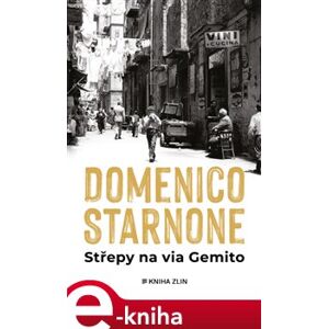Střepy na via Gemito - Domenico Starnone e-kniha