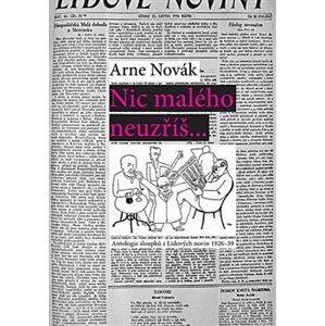 Nic malého neuzříš... Antologie sloupků z Lidových novin 1926-39 - Arne Novák